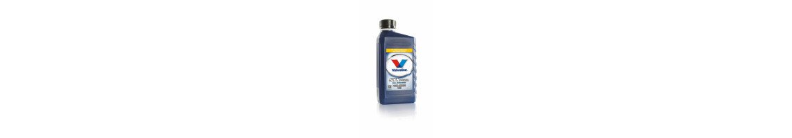 Масло для гидроусилителя руля – LIQUI MOLY, MOTUL | evdalas.lv