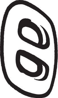 Kronšteins, Izplūdes gāzu sistēma BOSAL 255-729