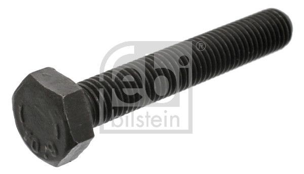 Skrūve, gultņa kronšteins (kloķvārpsta) FEBI BILSTEIN
