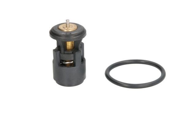 Termostats, Dzesēšanas šķidrums THERMOTEC D2A005TT