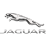 Jaguar Jaguar